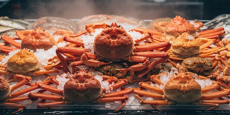 【冷凍カニ選び】「絶対に失敗しない冷凍カニの選び方」完全ガイド