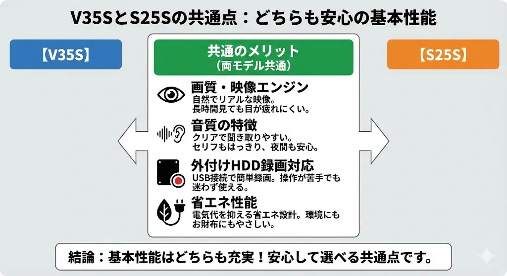 V35SとS25Sは、どちらもレグザらしい自然で見やすい映像が楽しめます。色の再現性が高く、人物の肌の色や風景の細かな表情まで、やさしくリアルに映し出してくれます。